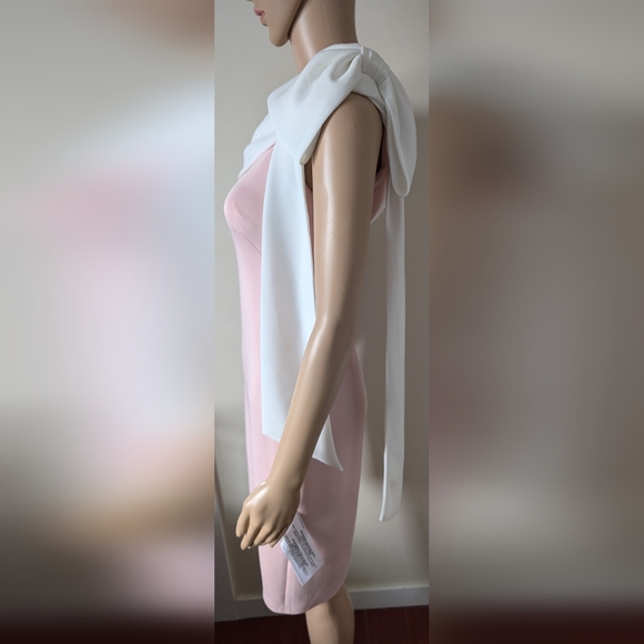 Tadashi Shoji Dress - Picture 5 of 6